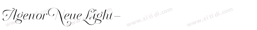 Agenor Neue Light字体转换